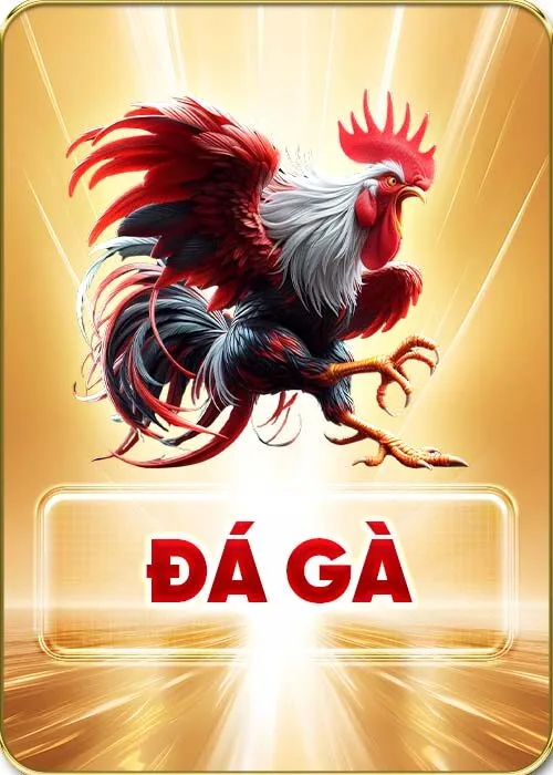 Đá gà